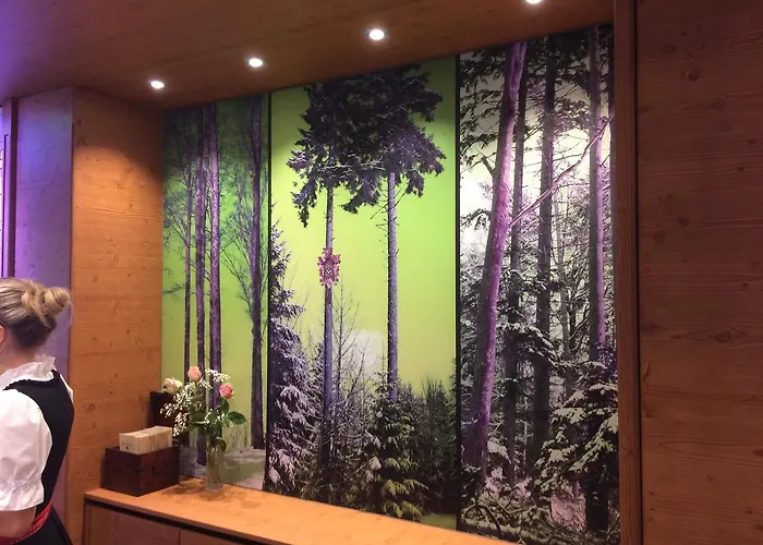 Hotel-restaurant Bierhaeusle 3*